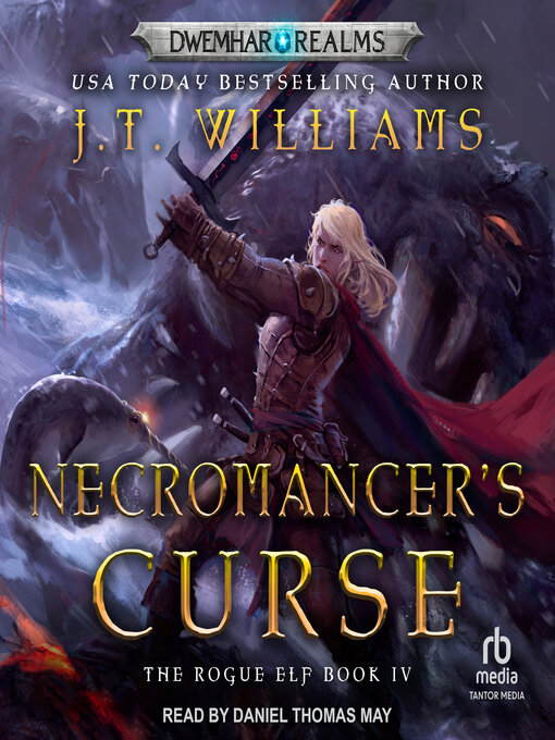 Cover image for Necromancer's Curse